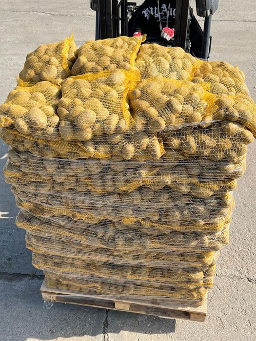 Cartofi de consum Alb si Roșu