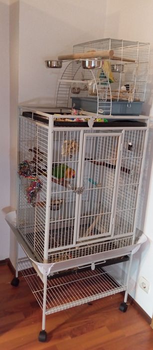 Vand voliera pentru păsări de talie medie