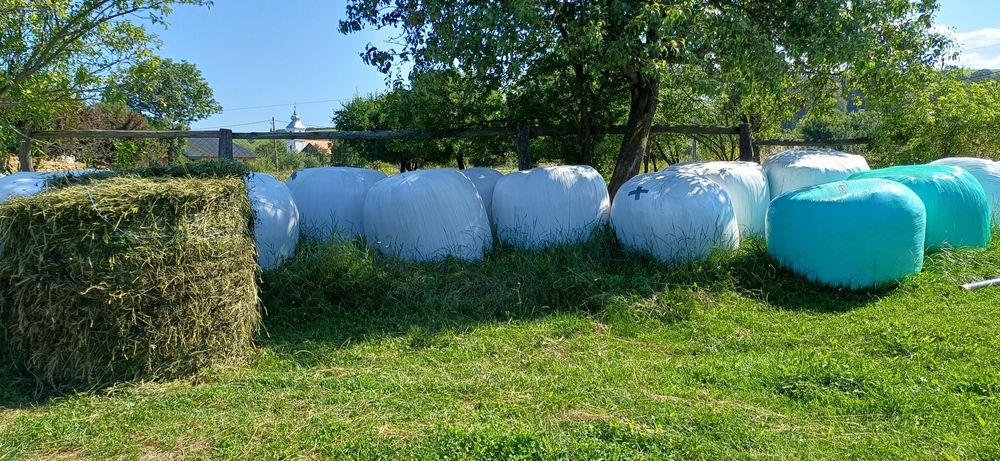 Vând baloti de lucernă înfoliată
