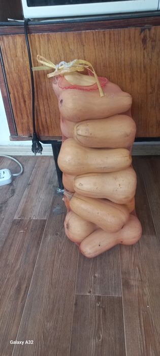 Ас қабақ (тыква)