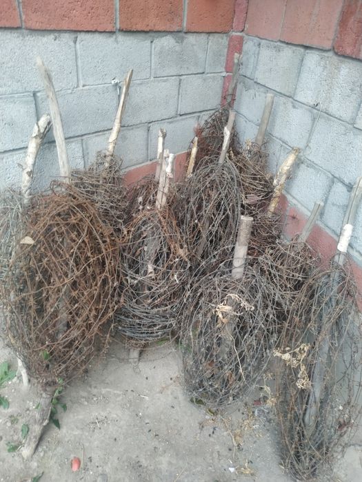 Tikanli simlar 900 metr 550 ming soʻm