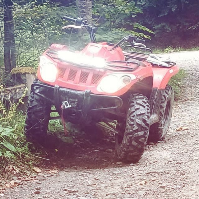 Atv Arctic Cat 2010