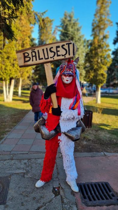 Costume si masca pentru anul nou