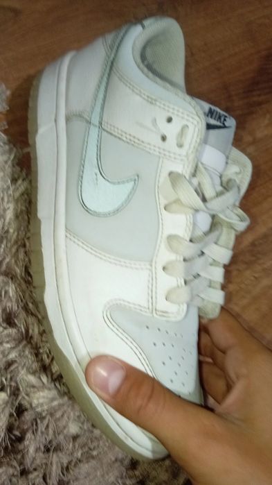 Dunck urî albe  cu gri