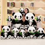 Urs de plus Panda mare gigant imens urias Panda 70cm - 1.7m
