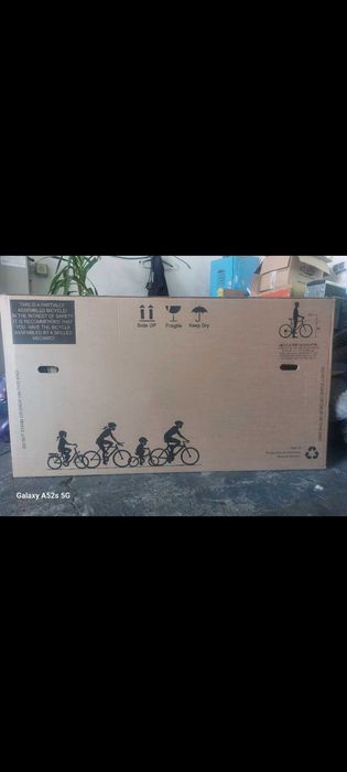 Bicicleta timisoreana