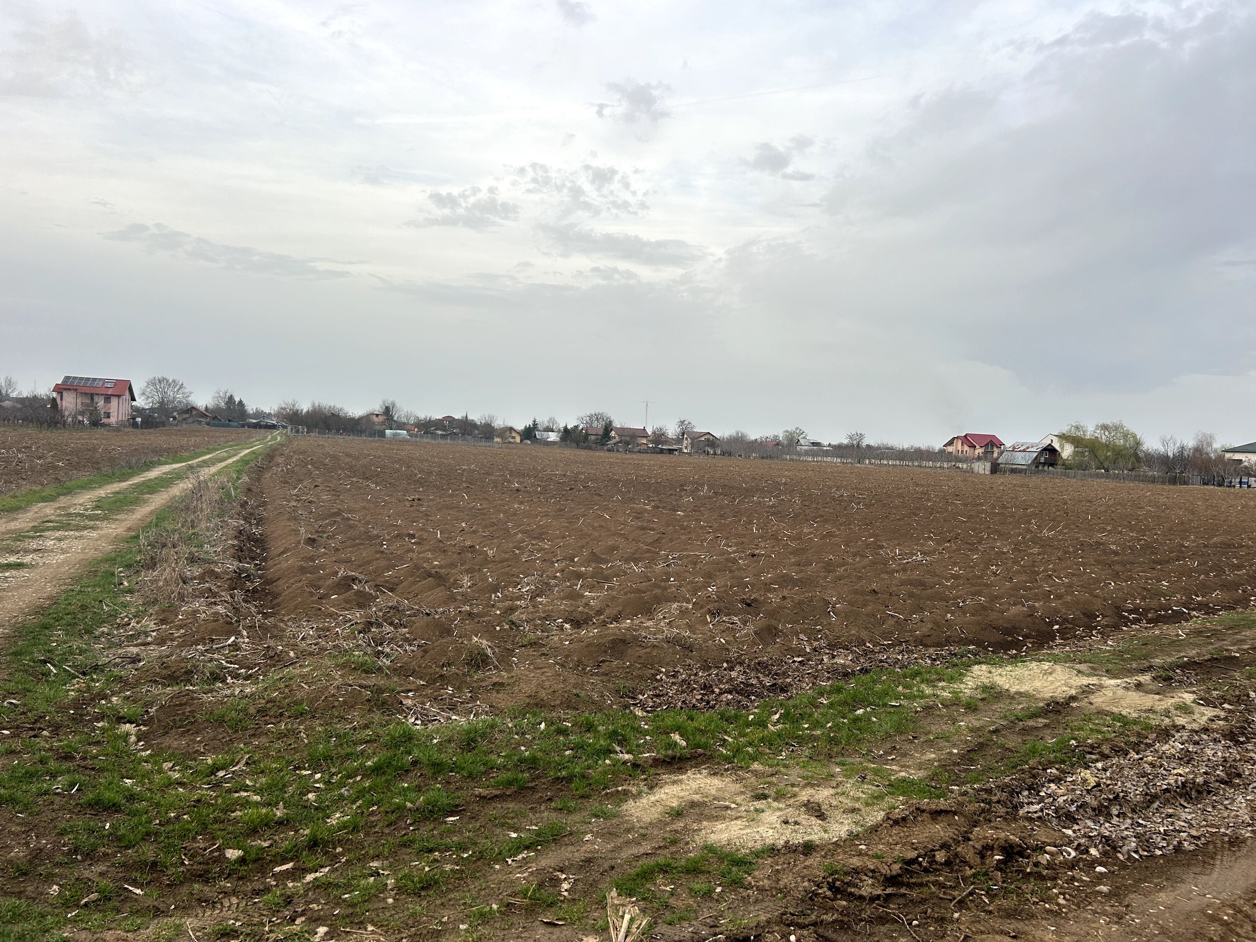 Teren Vladiceasca, langa padure 1110mp(61X18) zona Snagov.