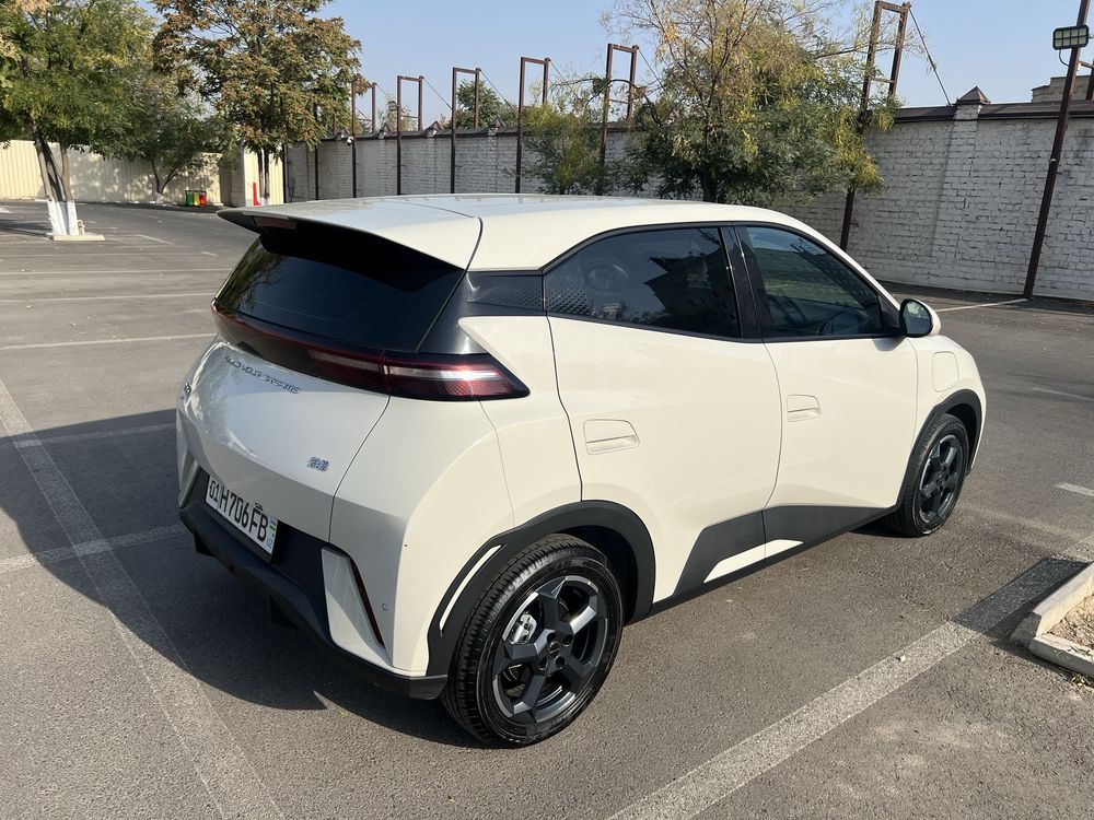 BYD seagull Honor 2024, 405 км