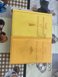 Книги ( два тома)