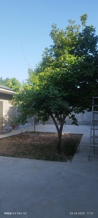 Продается участок срочно