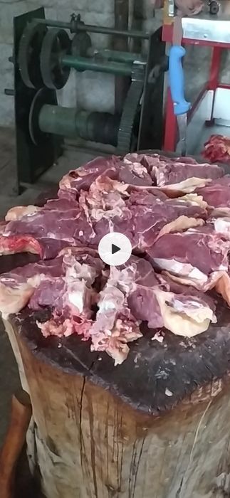 Жас қашар еті бар жiлiкке наличка
