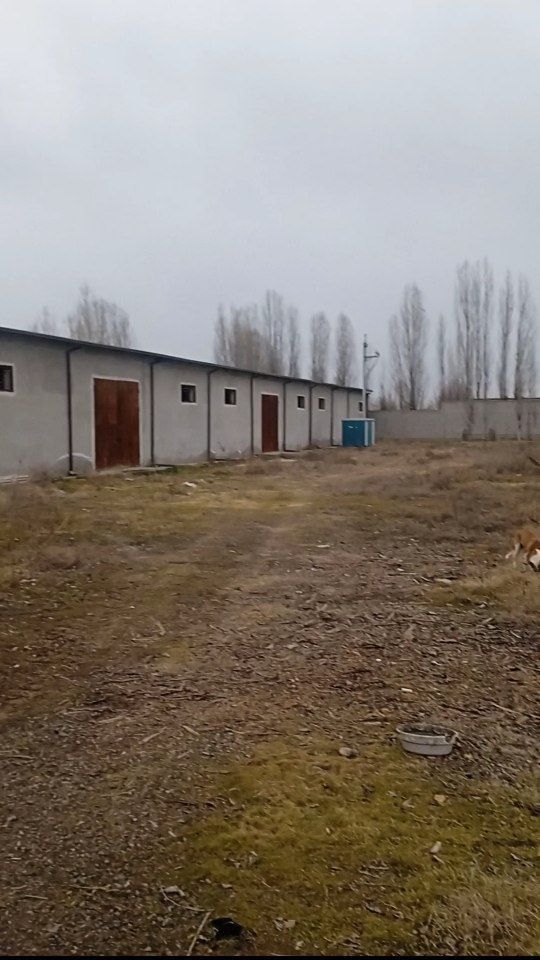 Срочно продается база 1 Га Янгиюль трасса М-39