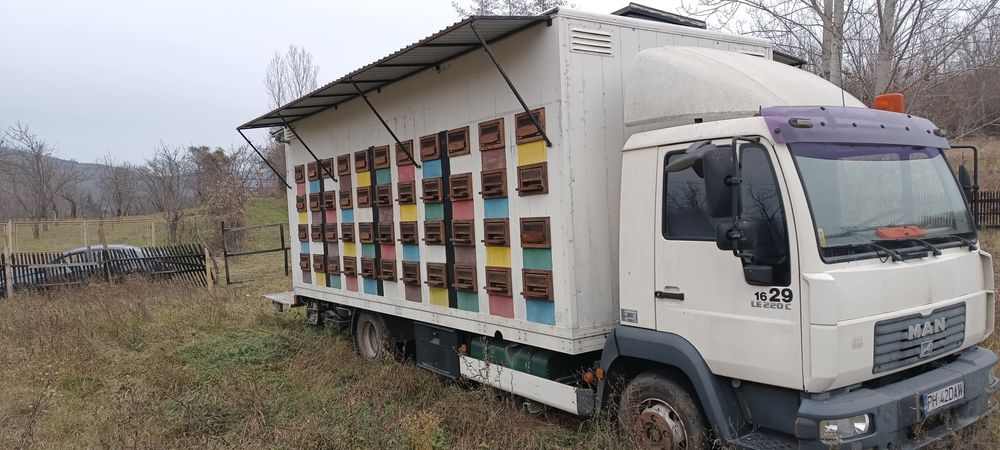 Camion Man 12 tone apicol