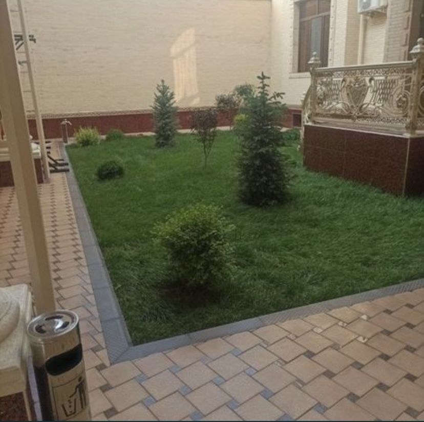 Gazon ekamiz Газон 15 000 soʻm