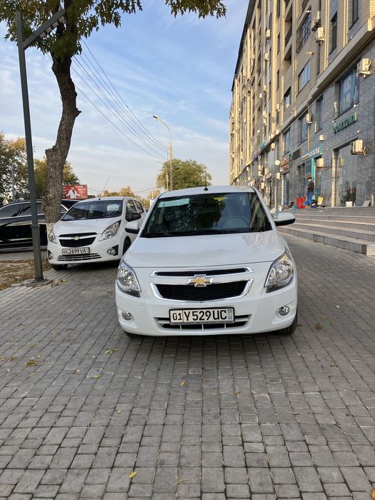 Cobalt  holati alo rangi oq  aftamat