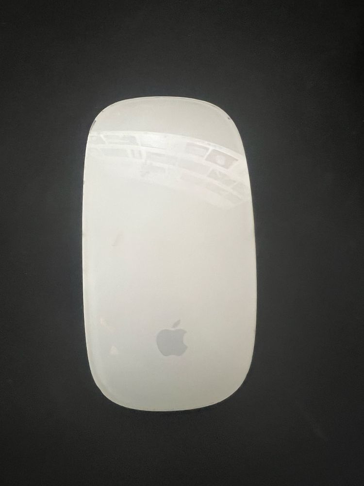 Apple magic mouse