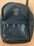 Rucsac Harry Potter