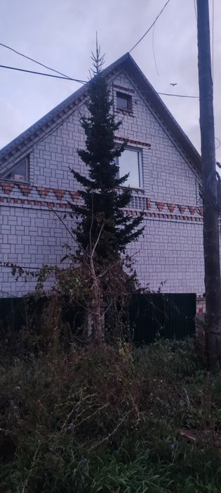 Продается большой дом с центральными коммуникациями