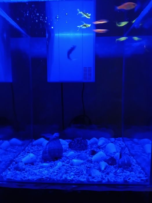 Аквариум 35 литрлик