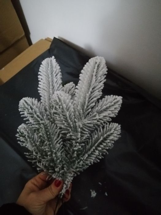 Mix crenguțe brad 100 bucati