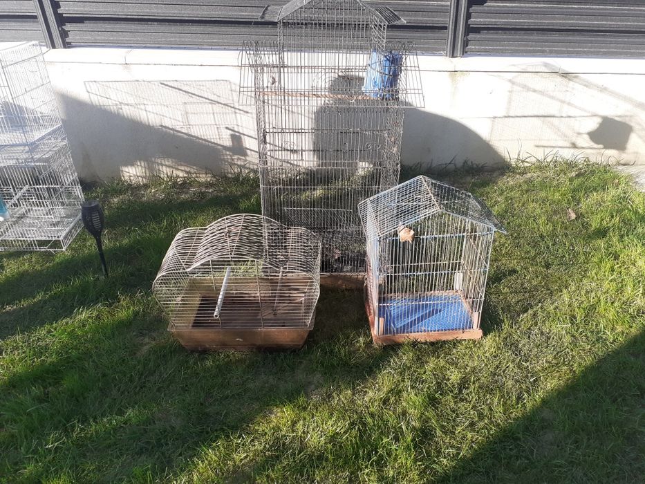 Cuști pentru papagali