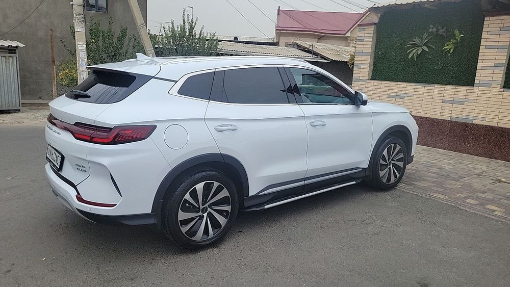 Byd chempion 110 li gibrid