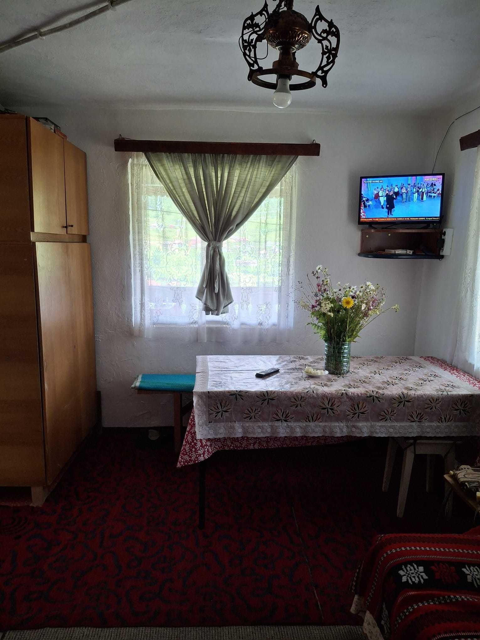 Cabana sat Mestera, comuna Stanceni