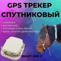 Жылқыға спутниковый GPS, 3 айлық төлем, ошейник. Үлкен Жеңілдік!