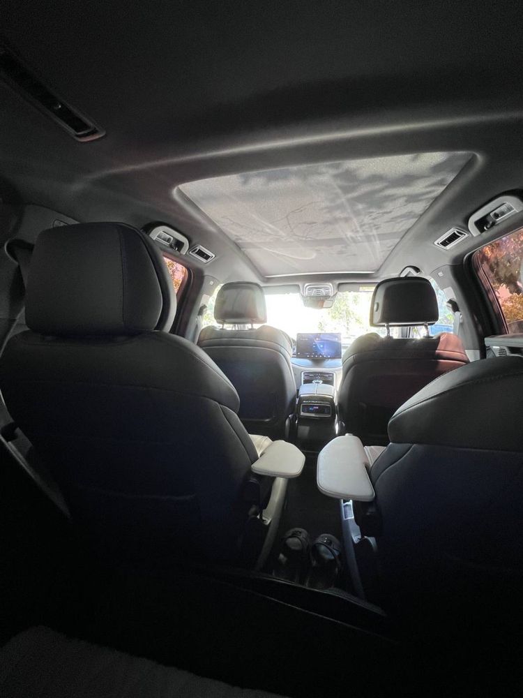 BYD tank Dual mator