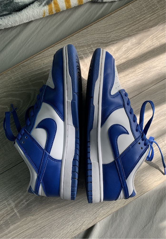 Nike Dunk Low Blue (42.5 EU/9 US)