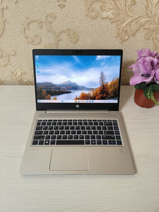 HP ProBook 445 G7