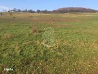 Parcele de 3000/5700 mp-investitie-Zona Subcetate-EXCLUSIVITATE
