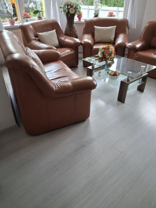 Canapele din piele naturală
