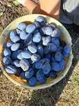 Vand prune tuica engross CALITATE