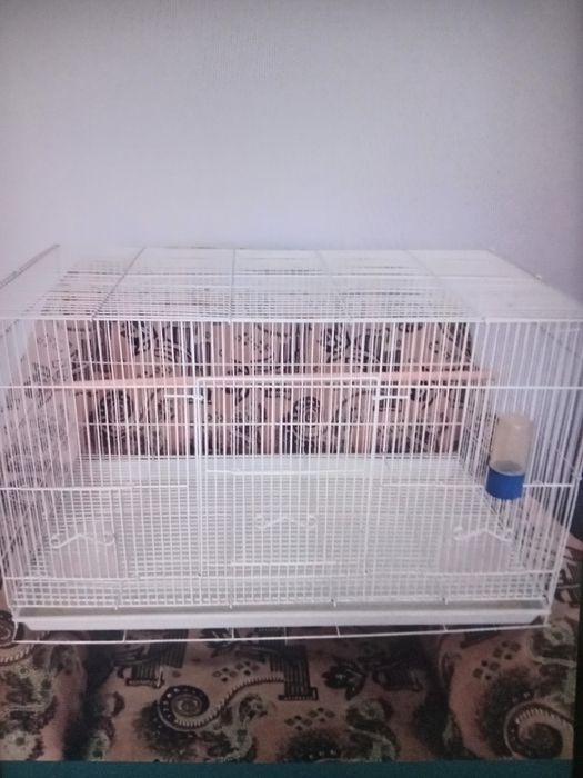 Продам клетки для птиц