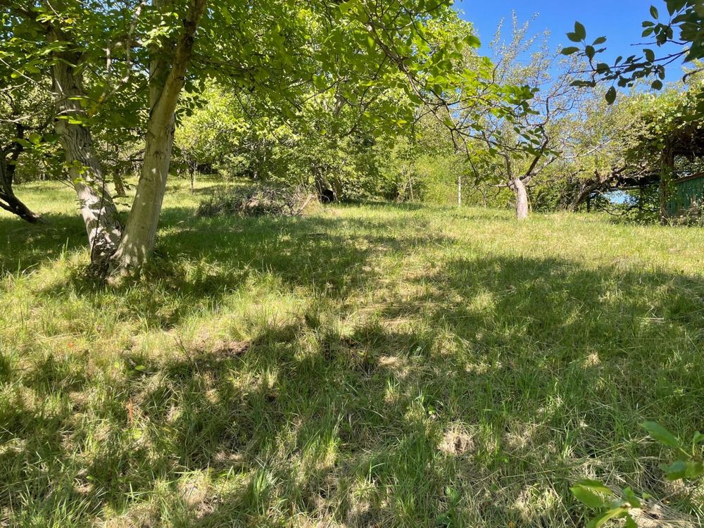 PLATA IN 3 RATE!!! Teren intravilan 650, 669 mp, Str. Dambului