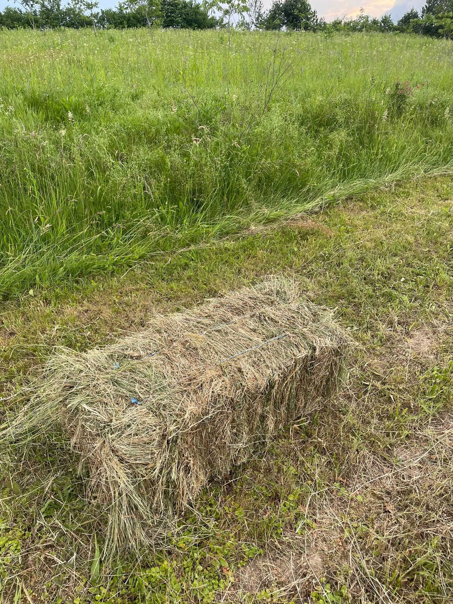 Vând baloți de fân