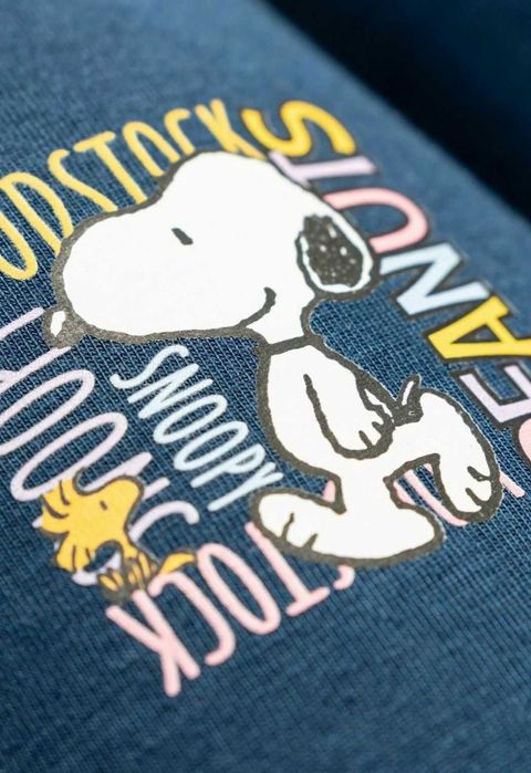 Papuci de Casă The Peanuts Snoopy NR.39-40