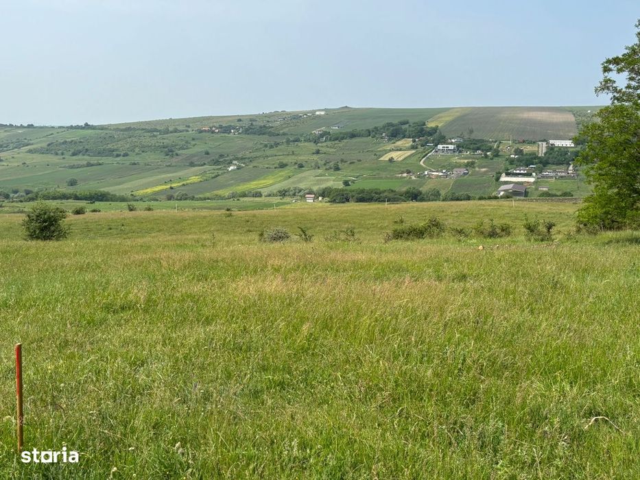 Teren Dealul Fanatelor