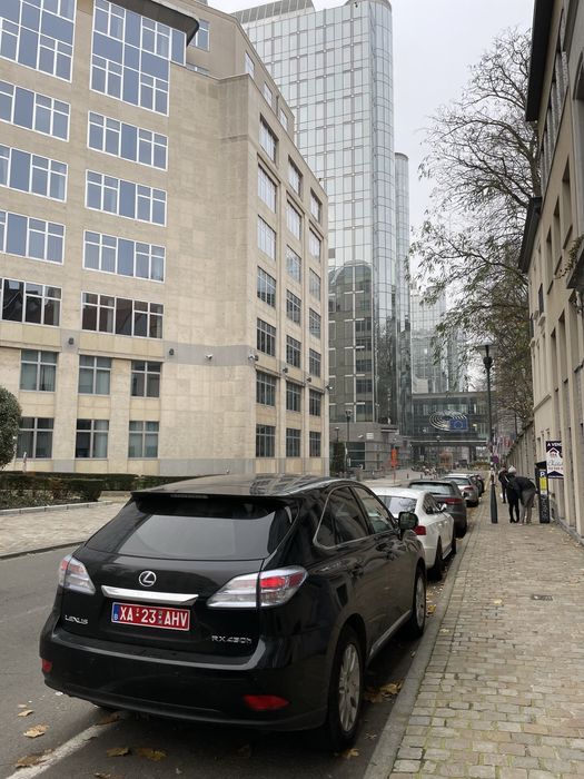 Lexus RX 450h Hybrid+GPL AWD Baterie nou in garantie proprietar