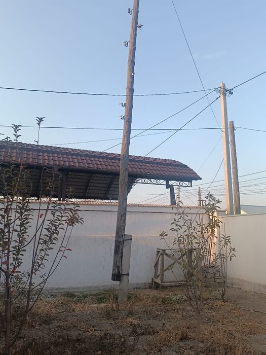 Столбы деревянные