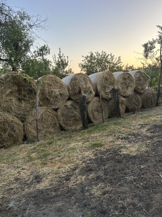 Baloți mari de fîn 120/160 .