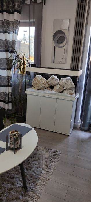 Pietre Acvaristică sau Amenajări