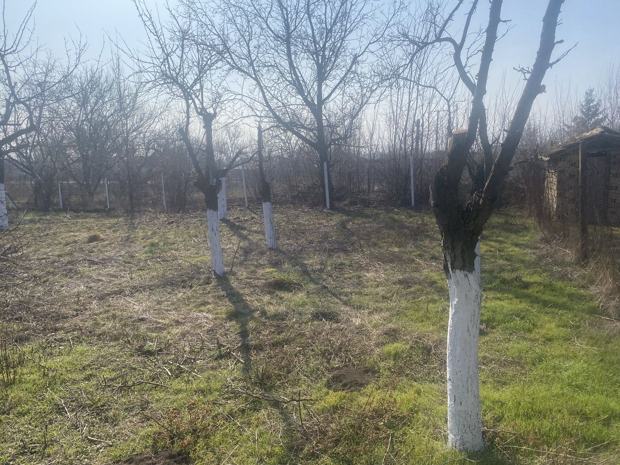 Продава се Парцел в с. Буховци, Област Търговище - 700 кв.м за 11 €/кв.м - Снимка #15