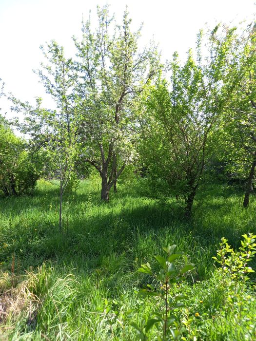 Продам участок с домом