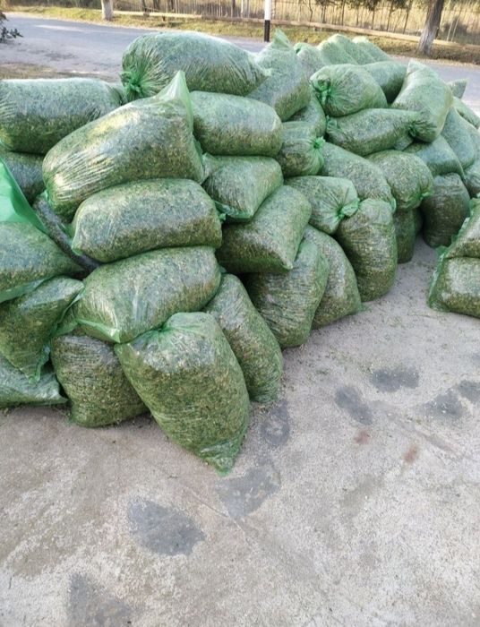 Selos 21 mindan selos selos