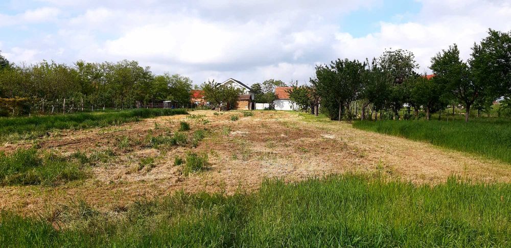 Teren intravilan Cetariu