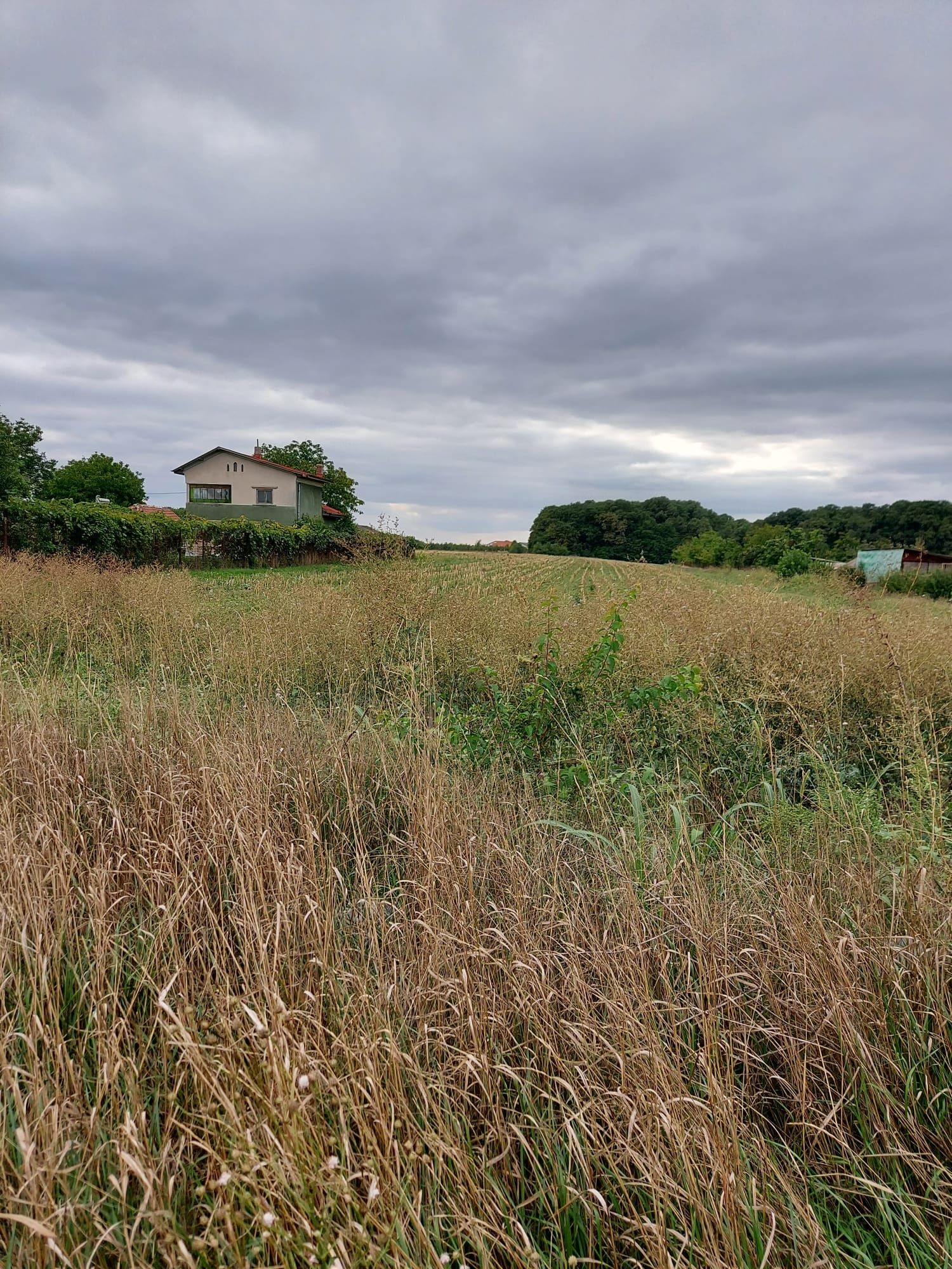 vind teren intravilan construibil laDN1 in Tincabesti