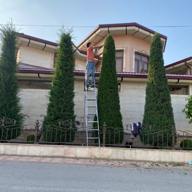 Archa kesish va dorilash xizmati