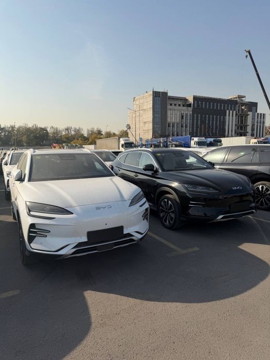 BYD champion smart drive